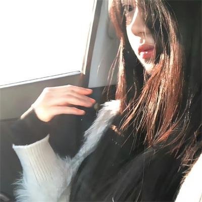 奔流犬：先生归来